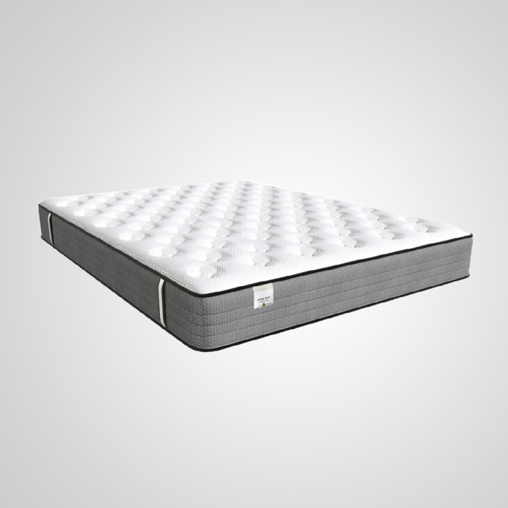 Spinal Rest Mattress